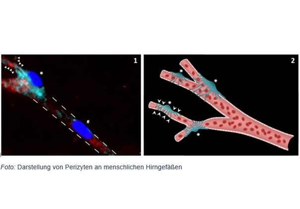 Deckblatt-1